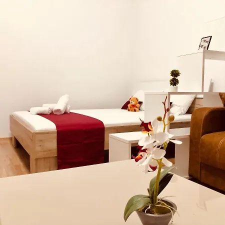 Joy Paris 5&6 Temeşvar