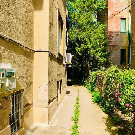 Joy Paris 5&6 Timişoara