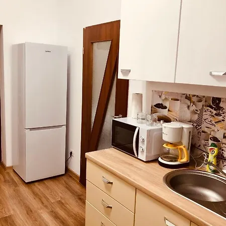 Joy Paris 5&6 * Temeşvar